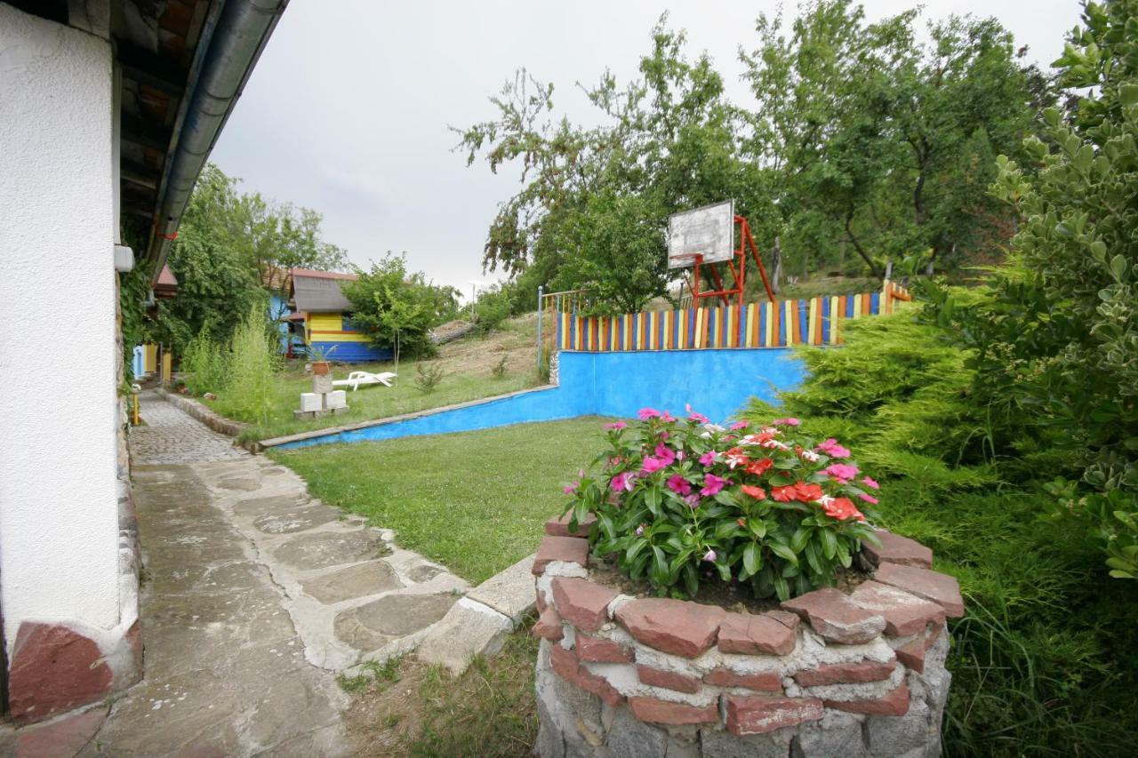 Chuchi Guest House 1 Zlatna Panega Exterior foto