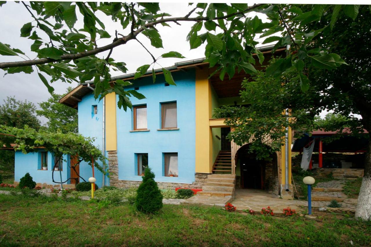 Chuchi Guest House 1 Zlatna Panega Exterior foto