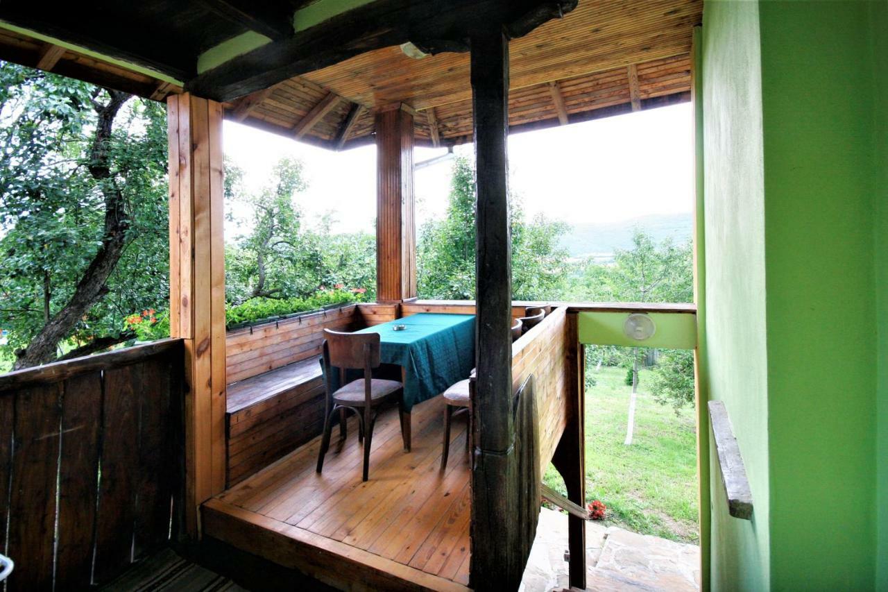 Chuchi Guest House 1 Zlatna Panega Exterior foto
