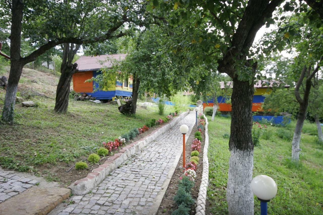 Chuchi Guest House 1 Zlatna Panega Exterior foto